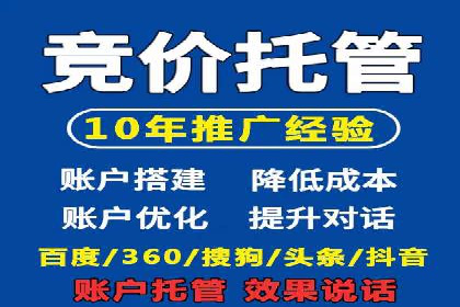 成功SEM托管案例解析